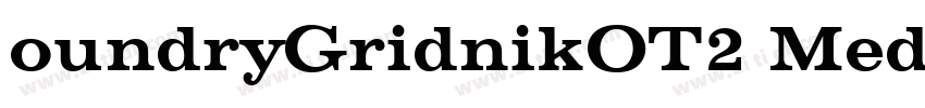 oundryGridnikOT2 Med字体转换